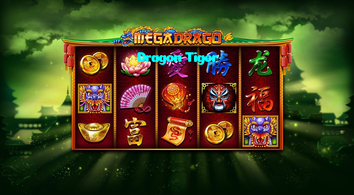 available types of Dragon Tiger bet including pre-match live express and system bets